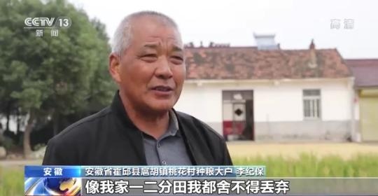 十八連豐！秋收近九成 我國(guó)糧食產(chǎn)能穩(wěn)步提升