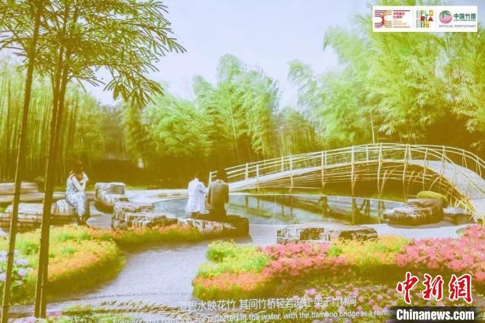 圖為活動現(xiàn)場通過視頻展示“中國竹園”設(shè)計(jì)方案。　荷蘭駐華大使館供圖