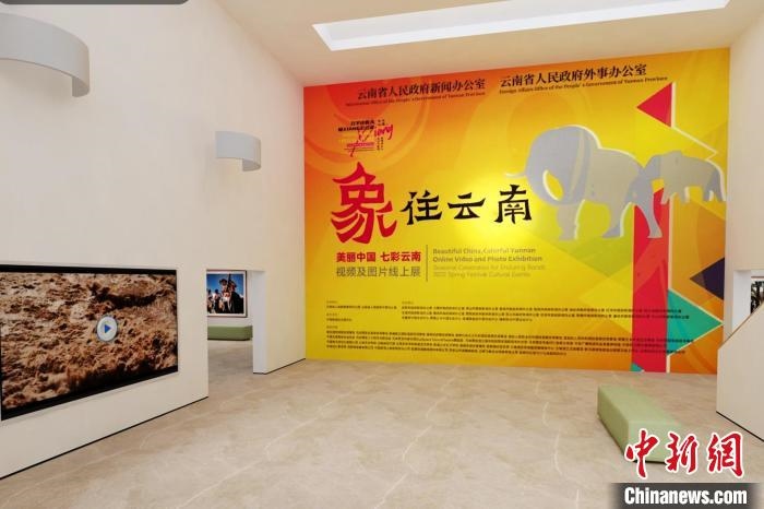 圖為“象”往云南——美麗中國 七彩云南視頻及圖片線上展截圖?！『h航 攝