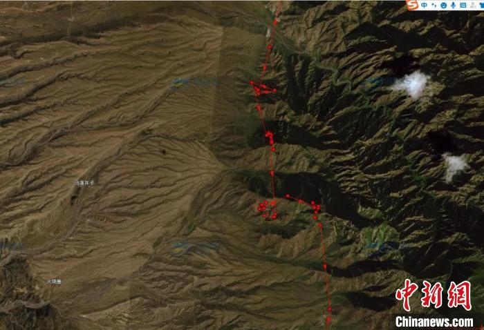 圖為雪豹故地重游來到放歸地的足跡?！?nèi)蒙古賀蘭山國家級自然保護區(qū)供圖