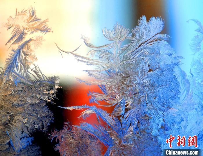 冰窗花千姿百態(tài)。　孫書程 攝