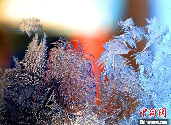 惟妙惟肖的冰窗花，似一幅風(fēng)景畫?！O書程 攝