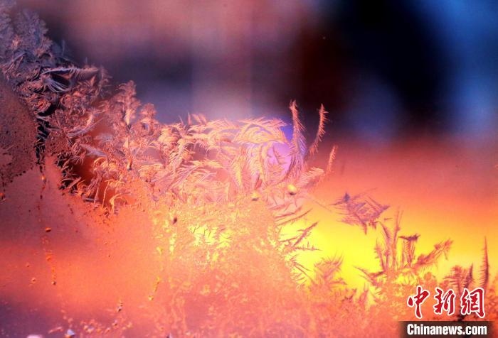 迎著光亮，冰窗花絢麗多姿。　孫書程 攝