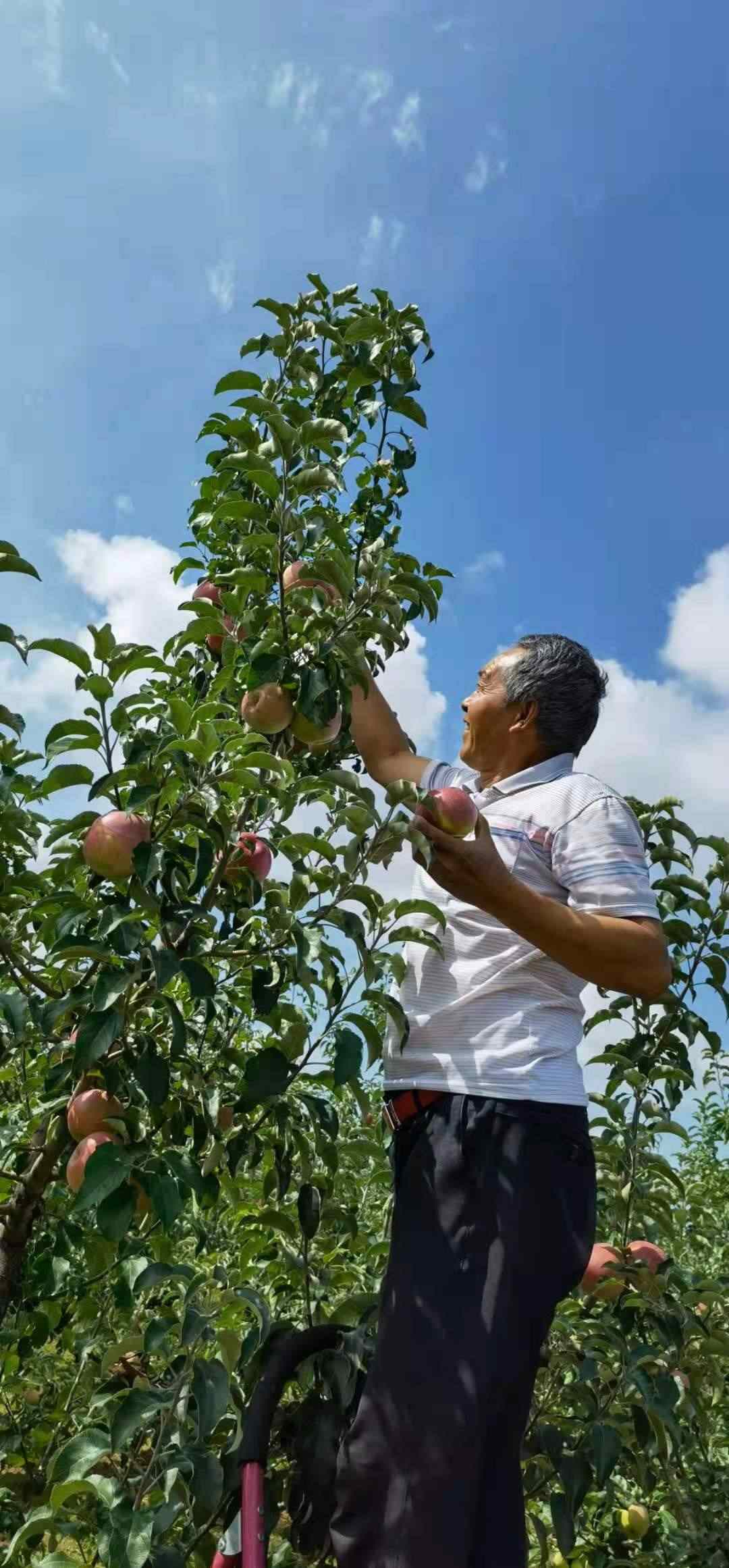 1632835431213217.jpg 微信圖片_20210928212343.jpg
