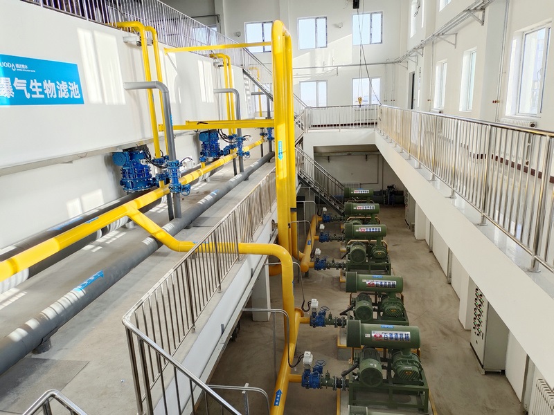 1639846344874663.jpg 1639821295112584.jpg