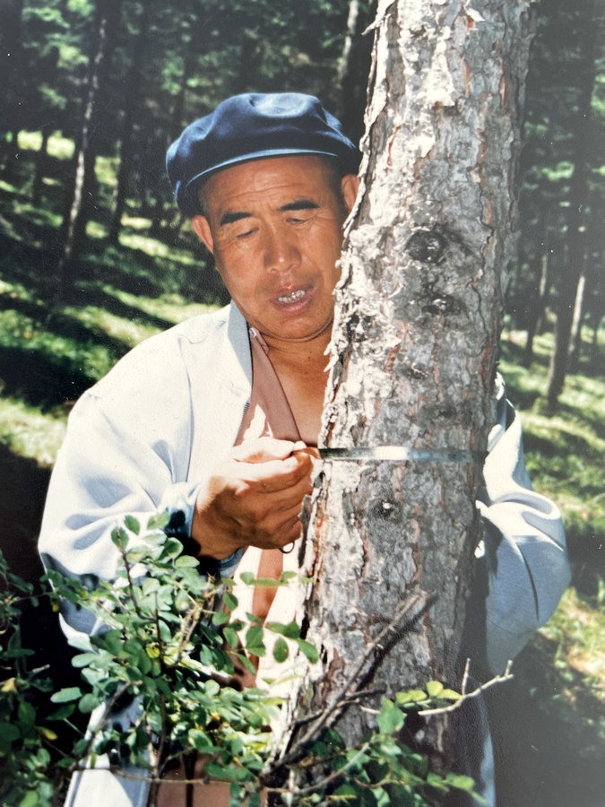 1640002434994292.jpg 1639978303986890.jpg