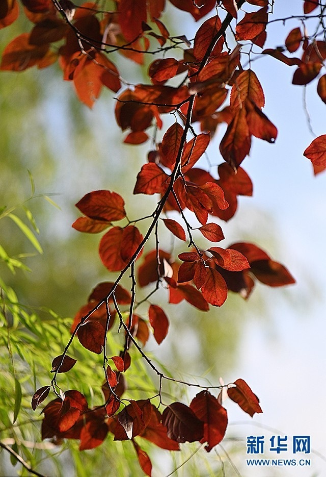 1662607637821132.jpg 00300584749_5156313c.jpg