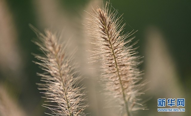 1662607705283966.jpg 00300584752_47f5ca78.jpg