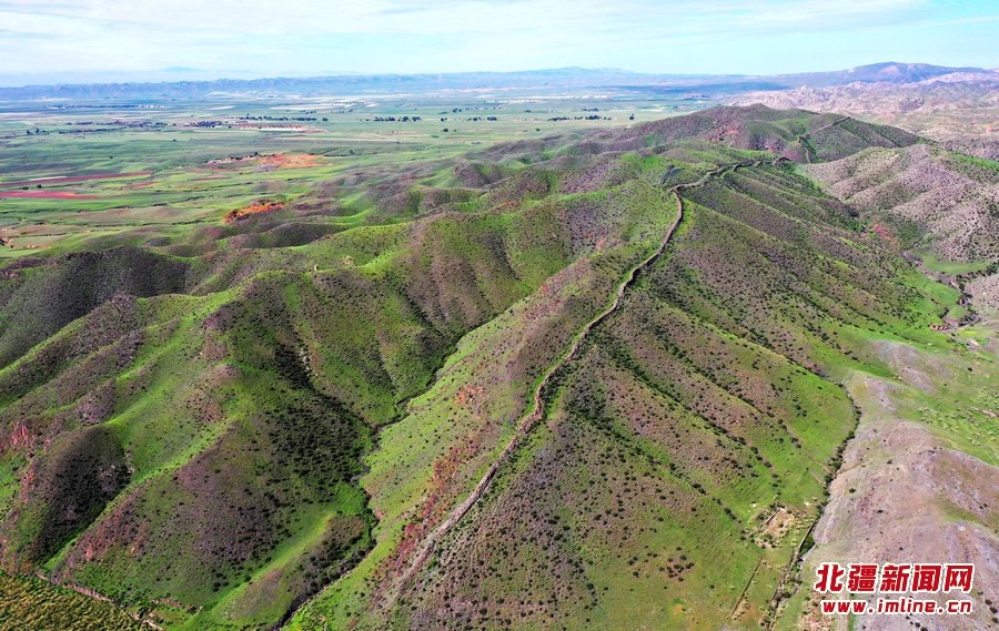 1663521300129435.jpg DJI_0779.jpg