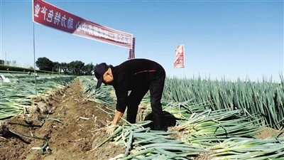 1665906309121035.jpg 00300589516_a36e28dd.jpg