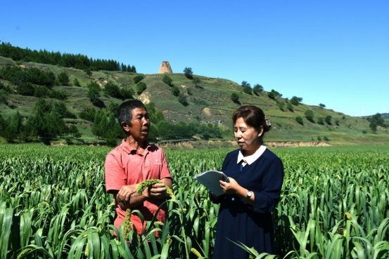 1666540850113569.png 長(zhǎng)城的女兒(李潔)2022.10.18.(3)(1)(1)(1)(1)(1)(1)5560.png