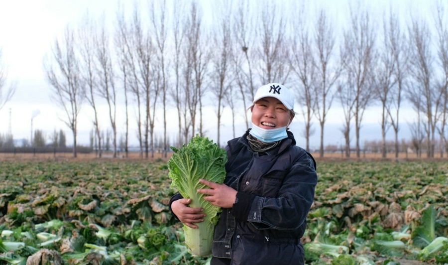 1667662495302771.jpg 微信圖片_20221105231349.jpg