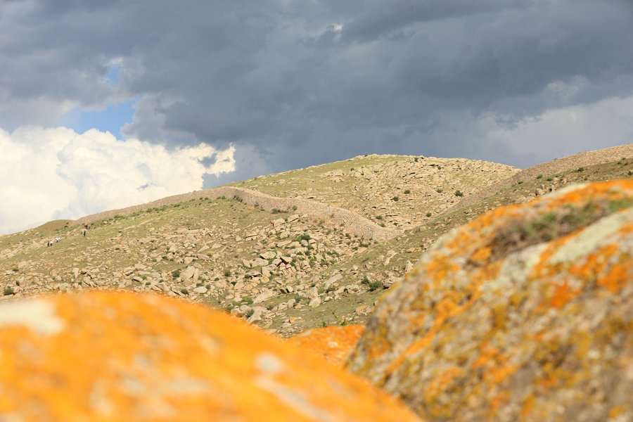 1692154996552915.jpg 7O5A4803.jpg