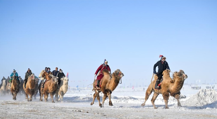 1703777139304923.png 圖片2.png