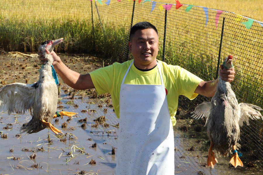 1726935856766180.png 圖片21.png