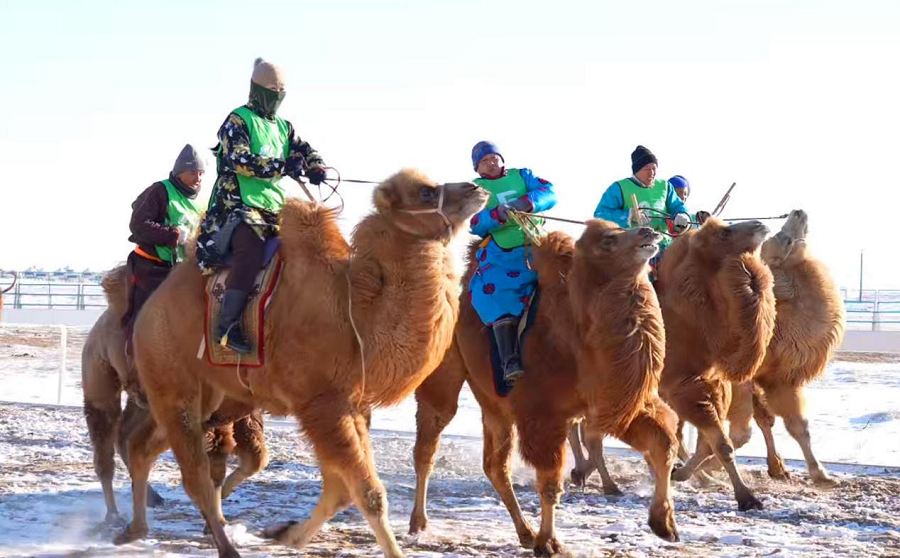 1768812803670478.png 003.png