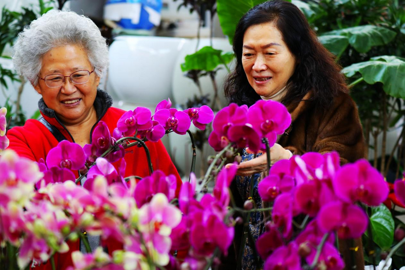 赤峰市民在紅山區(qū)花卉市場(chǎng)選購(gòu)鮮花 李富 攝.png