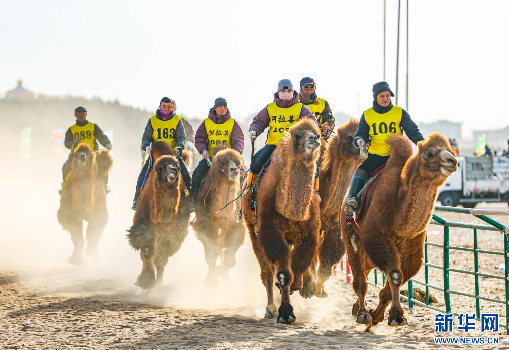 3月7日，賽駝手在6000米成年駱駝場地速度賽比賽中。.jpg