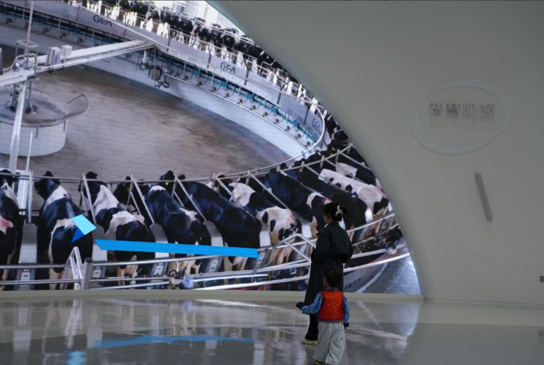 005.png