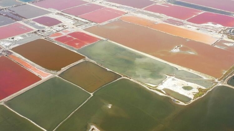 鑒往知來(lái)，跟著總書記學(xué)歷史丨走進(jìn)一座博物館，尋根五千年中華文明