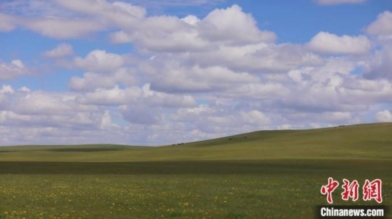 圖為點(diǎn)點(diǎn)新綠在原野上蓄勢(shì)待發(fā)。 歐戈 攝