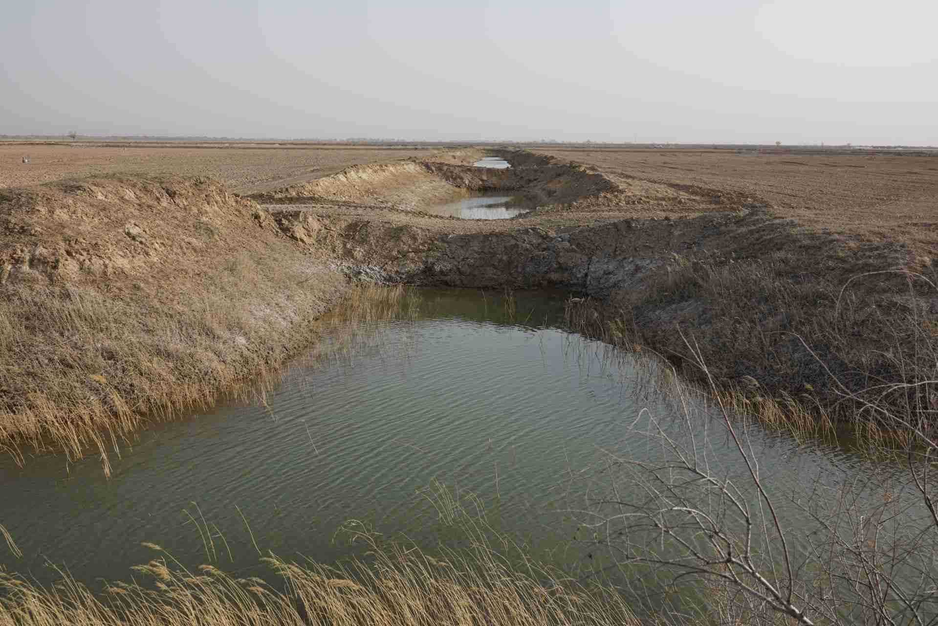 堵塞的排堿渠。 人民網(wǎng)記者 游天燚攝