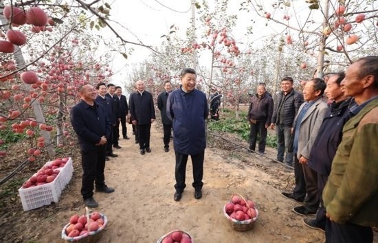 2022年10月26日，習近平總書記在陜西省延安市安塞區(qū)高橋鎮(zhèn)南溝村蘋果園同老鄉(xiāng)們親切交流。