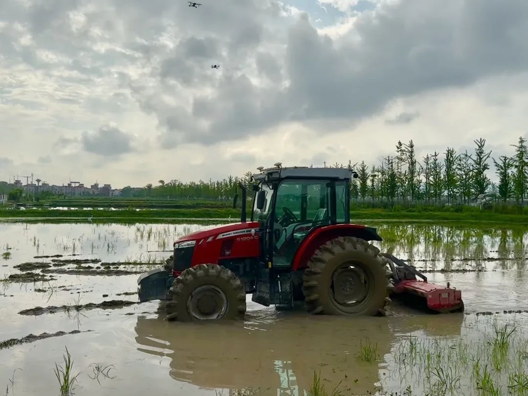 浙江省金華市東陽市城東街道寀盧村的一臺無人駕駛耕地機。靜玄 攝