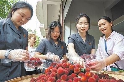 志愿者和村民一起將摘下的楊梅裝進(jìn)食品盒里。