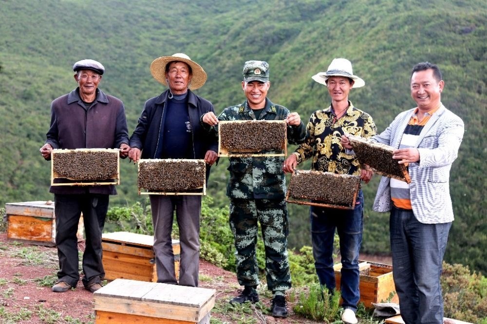 ↑武警四川總隊(duì)涼山支隊(duì)精準(zhǔn)幫扶昭覺(jué)縣梭梭拉打村發(fā)展養(yǎng)蜂產(chǎn)業(yè)，總隊(duì)駐村扶貧干部布哈（中）和村民一同展示豐收成果（2019年6月12日攝）。新華社發(fā)（楊劍 攝）