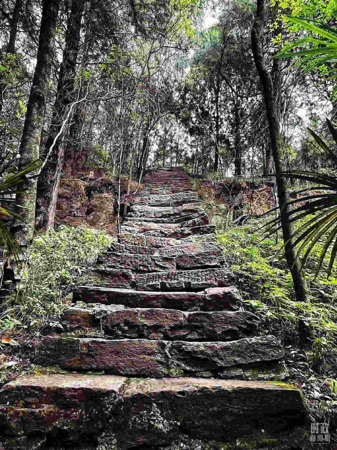 △古蜀道。（總臺(tái)央視記者郭曉龍拍攝）