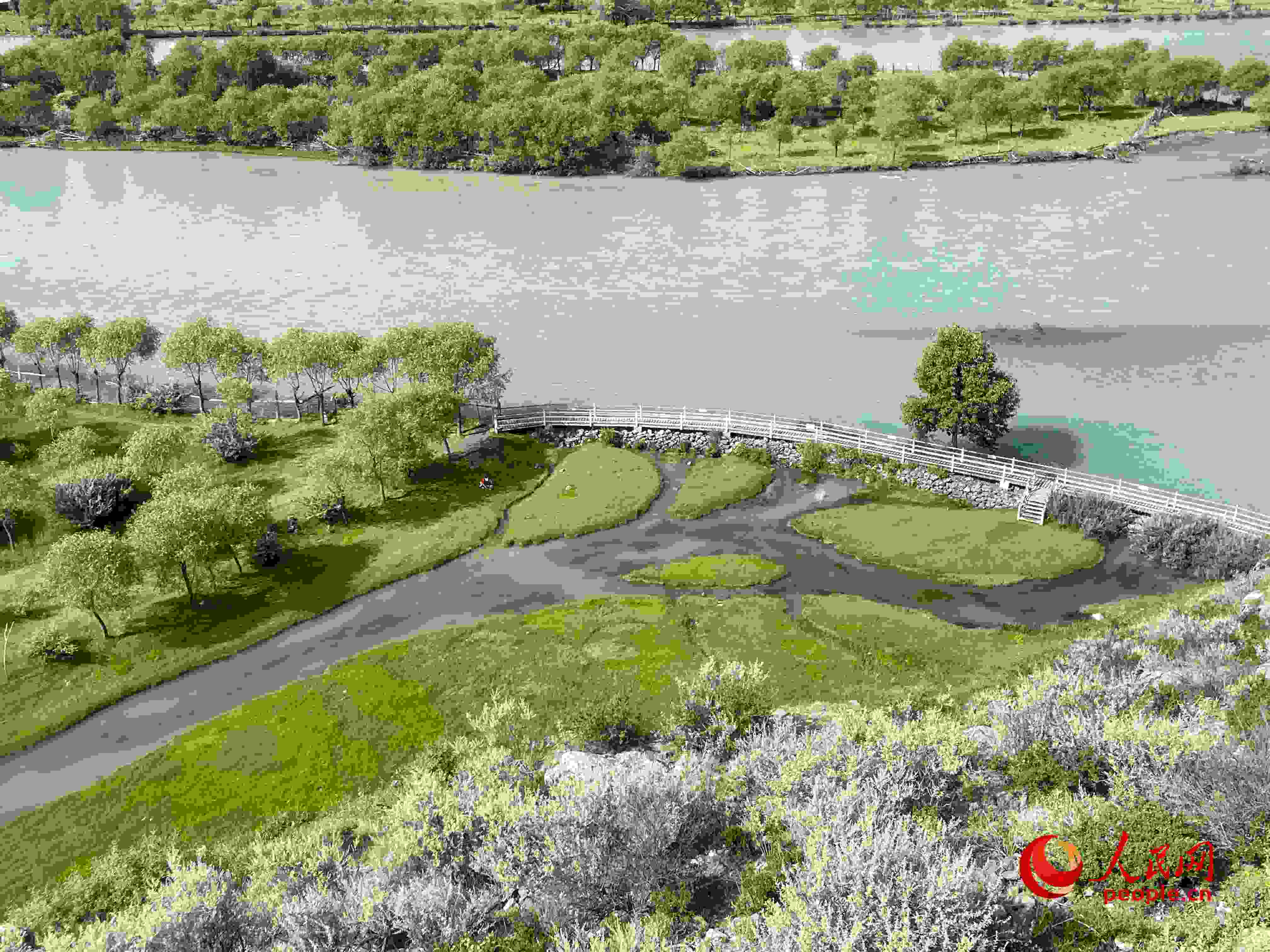 夏日的雅尼國家濕地公園生機(jī)盎然，如詩如畫。人民網(wǎng) 周靜圓攝