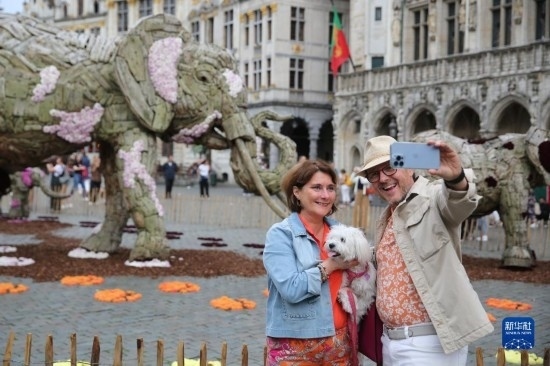 8月11日，觀眾在比利時布魯塞爾“鮮花時光”展覽上拍照。新華社記者 趙丁喆攝