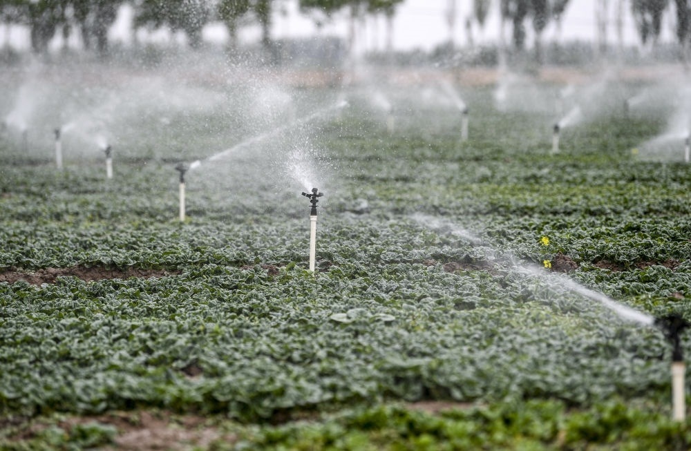 2023年5月25日，在寧夏銀川市永寧縣望洪鎮(zhèn)宋澄村冷涼蔬菜種植基地，小型噴灌節(jié)水設(shè)備在進(jìn)行噴灌作業(yè)。新華社記者 馮開(kāi)華 攝