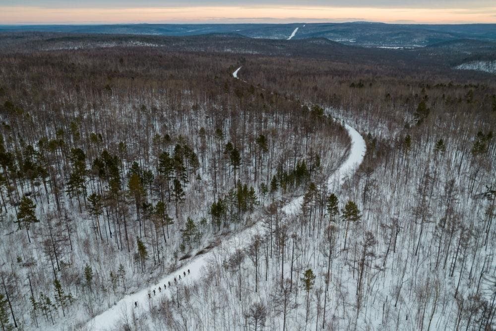 △2023年1月，漠河林場(chǎng)數(shù)十名職工自發(fā)組成的森林撫育隊(duì)伍，在人跡罕至的山林中作業(yè)。