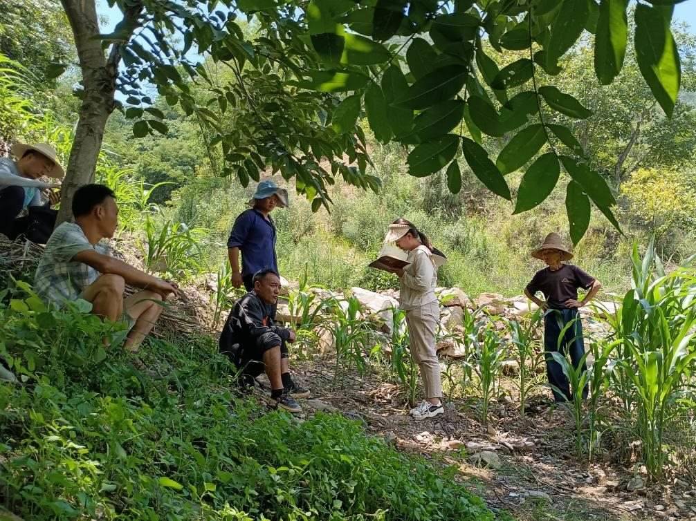 2023年7月18日，兩家村民發(fā)生土地方面的糾紛，李江女（右二）在記錄情況。受訪者供圖