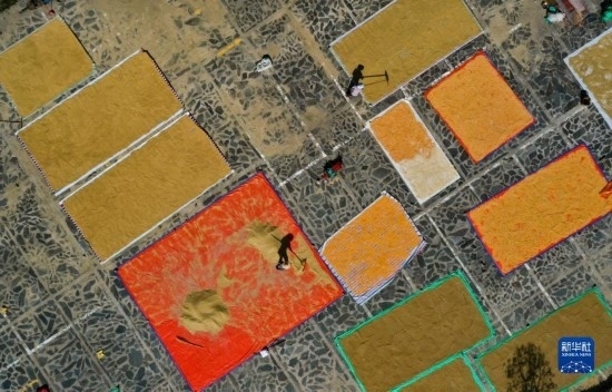 9月16日，貴州省黔東南苗族侗族自治州丹寨縣南皋鄉(xiāng)石橋村村民在晾曬農(nóng)作物（無人機照片）。