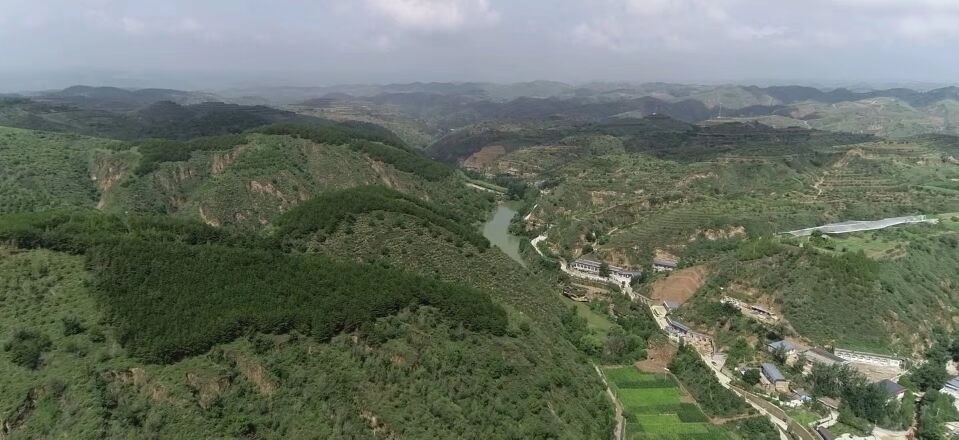 黃土溝壑中的高西溝村滿眼綠色（無人機(jī)照片，2023年7月26日）。新華社記者陳昌奇 攝