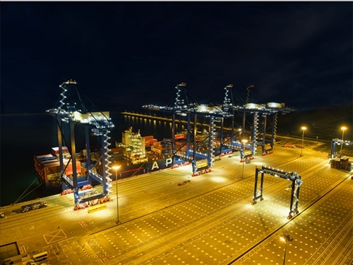 萊基港實(shí)行7×24小時(shí)裝卸作業(yè)機(jī)制。受訪者供圖