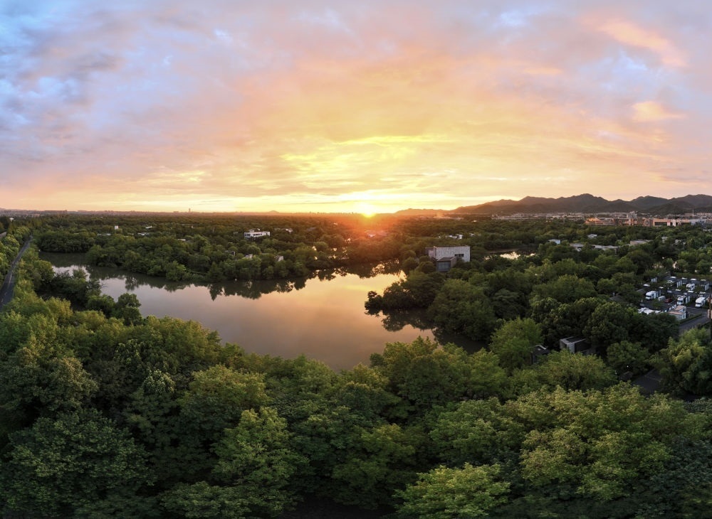 杭州西溪濕地日出景觀。