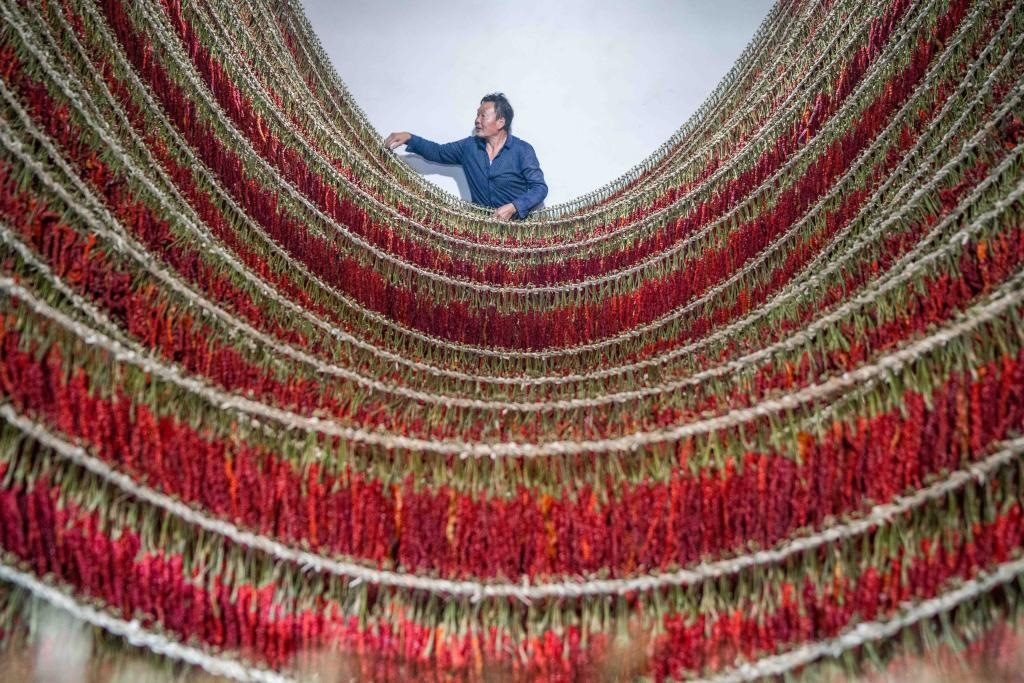 在貴州省畢節(jié)市大方縣理化鄉(xiāng)金雞村，村民查看辣椒烘干情況。新華社發(fā) 羅大富攝