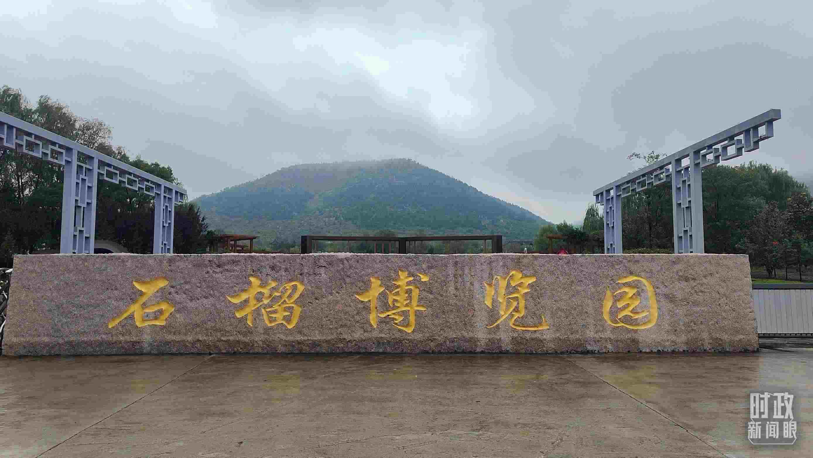 △石榴種質(zhì)資源庫位于石榴博覽園內(nèi)。（總臺(tái)央視記者楊立峰拍攝）