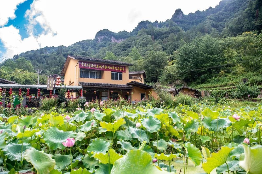 這是8月28日拍攝的華溪村村民開設的農(nóng)家樂外景。新華社記者 唐奕 攝