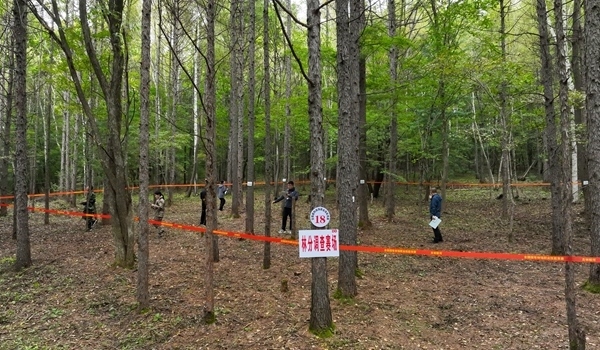 競賽現場。圖片來源：國家林業(yè)和草原局