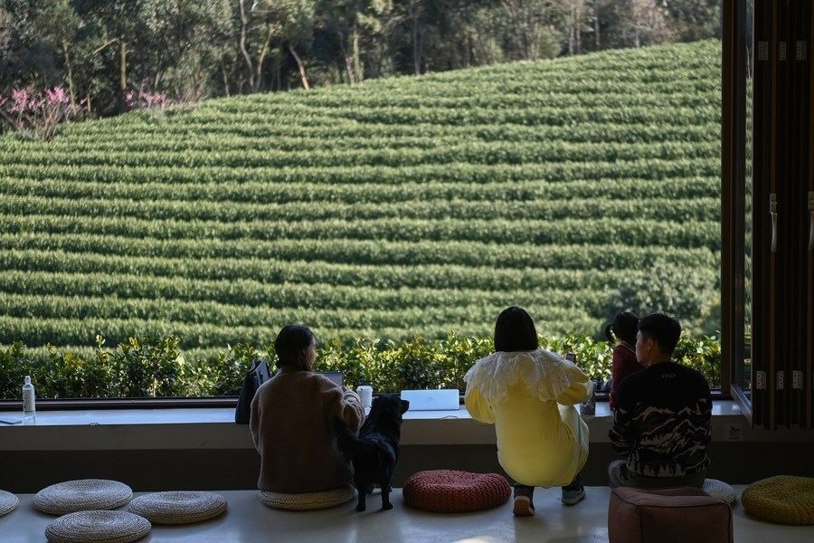 游客在浙江省安吉縣黃杜村萬(wàn)畝茶園邊的咖啡館休閑（2023年2月21日攝）。