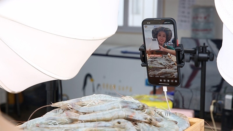 江蘇連云港，村民進(jìn)行直播銷售。范堯攝