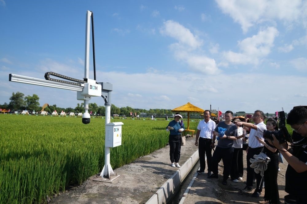 在北大荒集團(tuán)閆家崗農(nóng)場(chǎng)有限公司農(nóng)業(yè)現(xiàn)代化示范區(qū)，工作人員在介紹利用數(shù)字技術(shù)的葉齡診斷儀（2023年8月10日攝）。新華社記者 王建威 攝