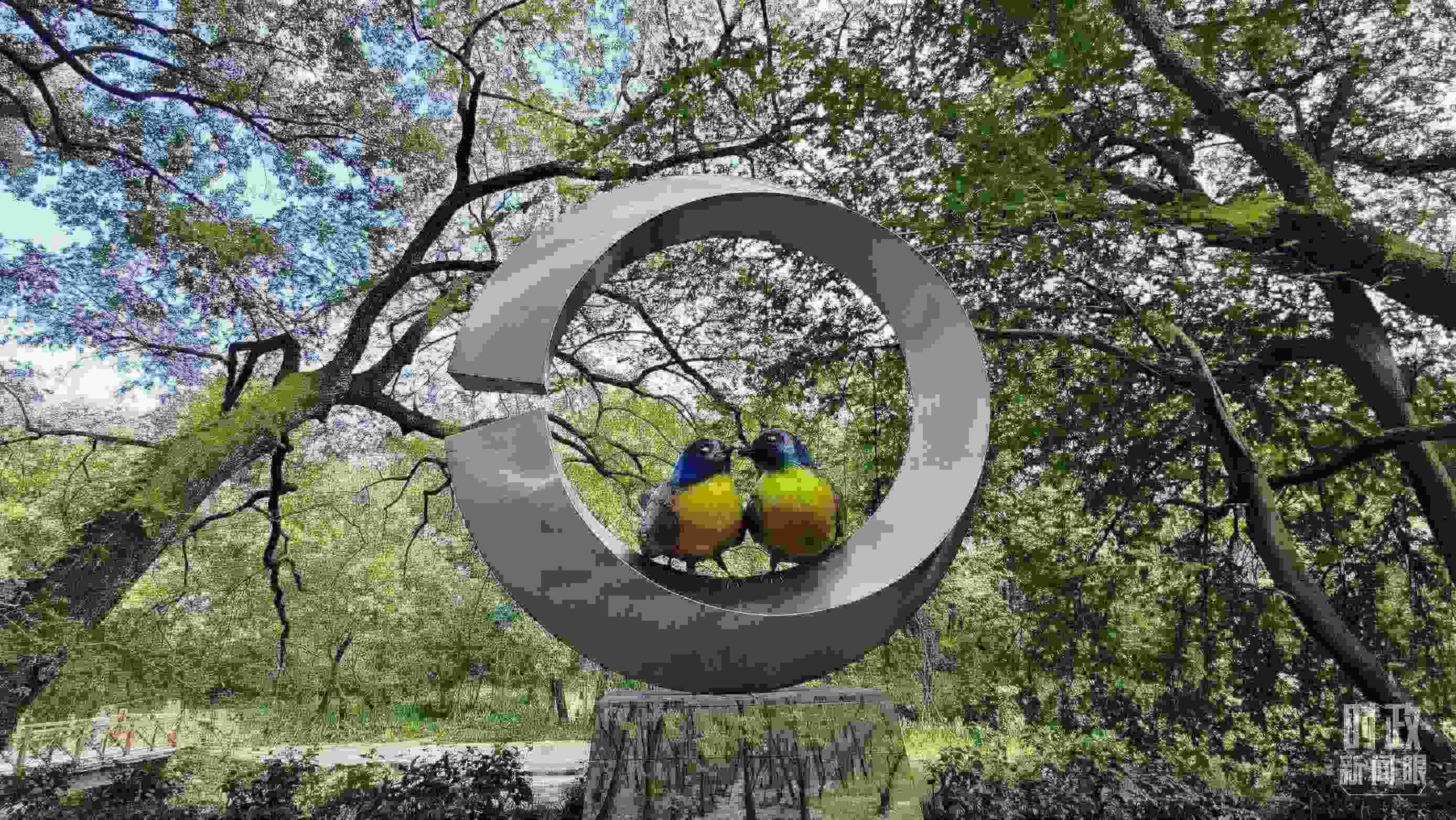 △石門村里的藍(lán)冠噪鹛雕像。（總臺(tái)央視記者許永松拍攝）