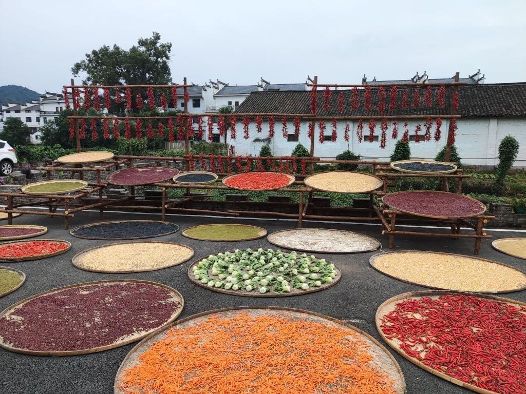 近日，江西省上饒市婺源縣秋口鎮(zhèn)王村村民晾曬的農(nóng)作物。新華社記者 劉佳敏 攝