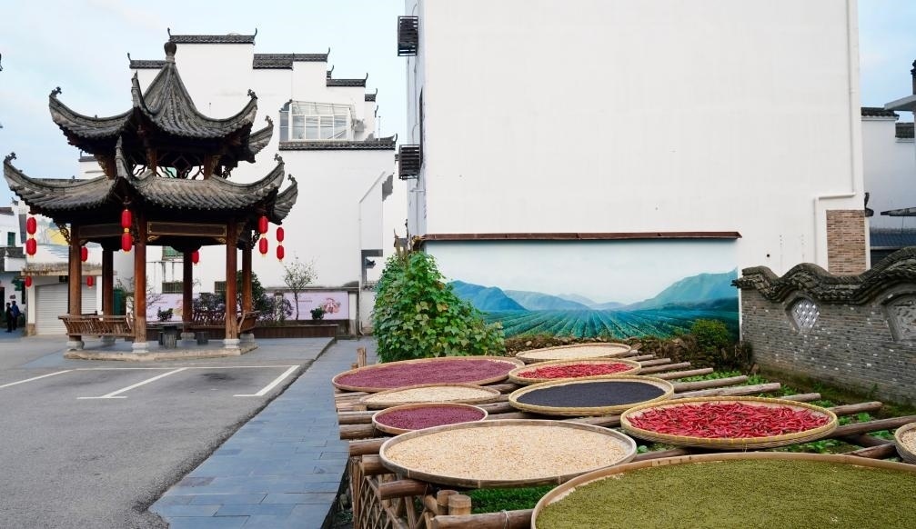 近日拍攝的江西省上饒市婺源縣秋口鎮(zhèn)王村石門自然村曬秋場(chǎng)景。新華社記者 胡晨歡 攝